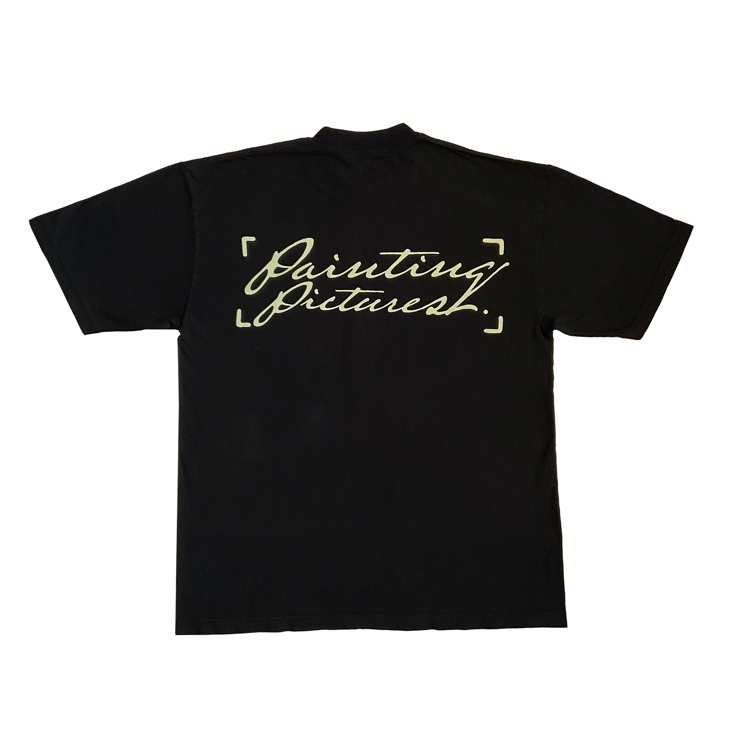 Painting Pictures Pocket T